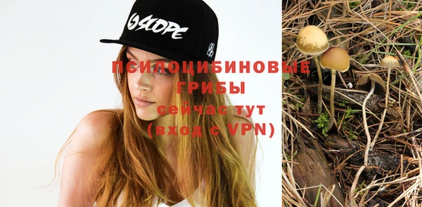 стафф Беломорск