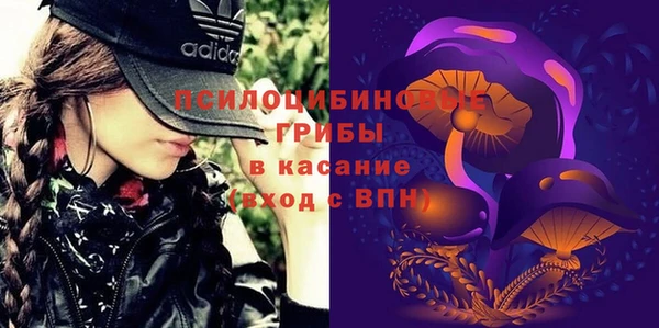 мет Белокуриха